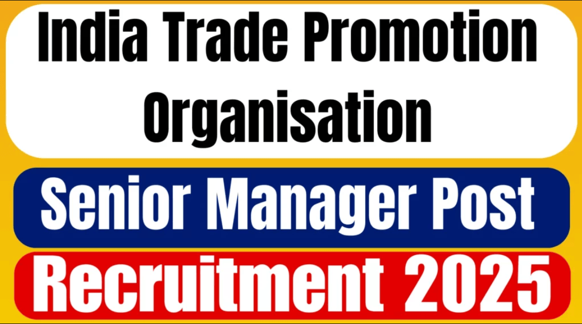 ITPO Senior Manager Recruitment 2025
