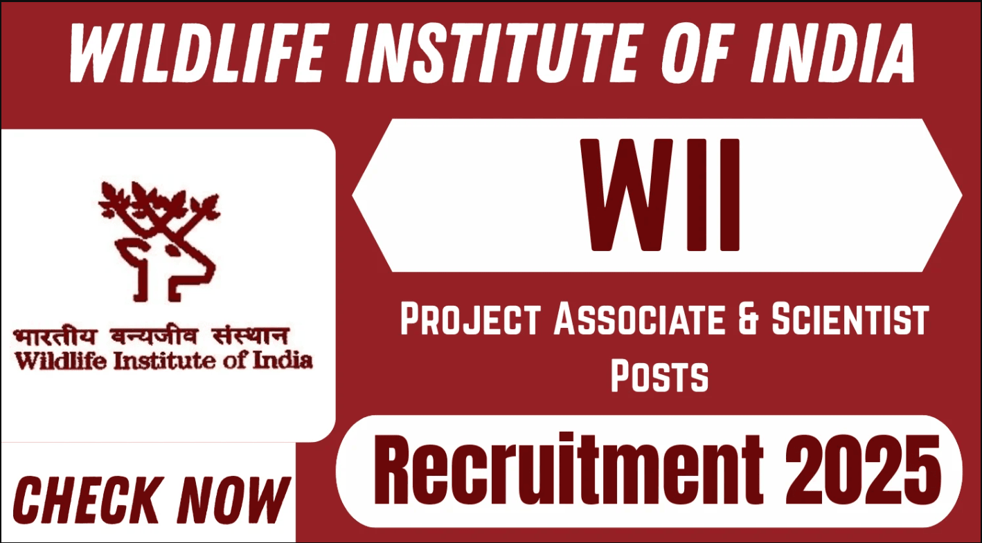 WII Recruitment 2025